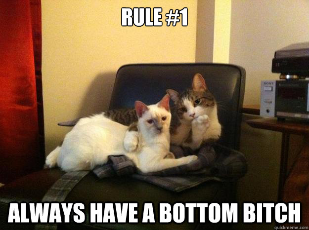 Rule #1 Always have a Bottom Bitch - Rule #1 Always have a Bottom Bitch  Cat Daddy