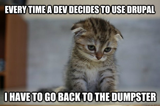 Every time a dev decides to use drupal I have to go back to the dumpster - Every time a dev decides to use drupal I have to go back to the dumpster  Sad Kitten