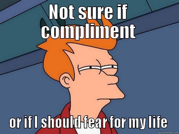NOT SURE IF COMPLIMENT OR IF I SHOULD FEAR FOR MY LIFE Futurama Fry
