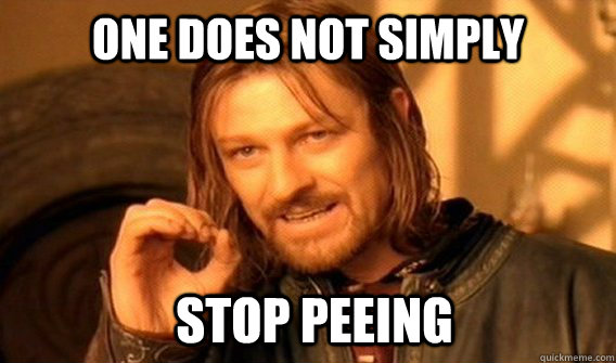 ONE DOES NOT SIMPLY STOP PEEING   ONE DOES NOT SIMPLY GET SOME TEA