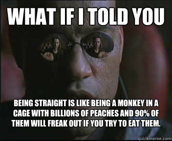 What if I told you being straight is like being a monkey in a cage with billions of peaches and 90% of them will freak out if you try to eat them. Good luck.  Morpheus SC