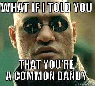 WHAT IF I TOLD YOU  THAT YOU'RE A COMMON DANDY Matrix Morpheus