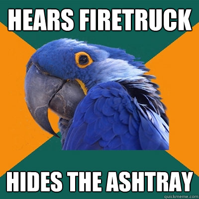 hears firetruck hides the ashtray  Paranoid Parrot