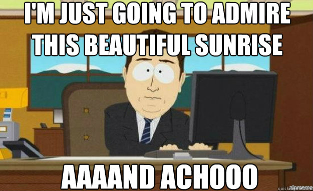 I'm just going to admire this beautiful sunrise   AAAAND achooo  aaaand its gone