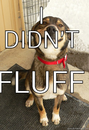 I DIDN'T FLUFF Good Dog Greg