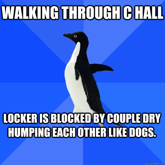 Walking through C hall locker is blocked by couple dry humping each other like dogs.    Socially Awkward Penguin