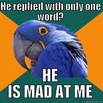 HE REPLIED WITH ONLY ONE WORD? HE IS MAD AT ME Paranoid Parrot