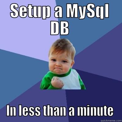 SETUP A MYSQL DB IN LESS THAN A MINUTE Success Kid
