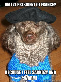 Am I ze President of France? Because I feel Sarkozy and warm!  French Pun Poodle