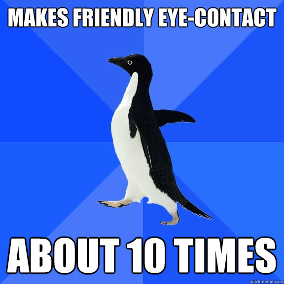 makes friendly eye-contact about 10 times  Socially Awkward Penguin