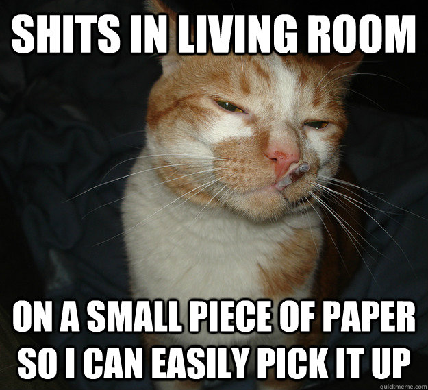 Shits in living room On a small piece of paper so I can easily pick it up  Cool Cat Craig