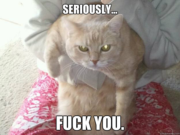 Seriously... Fuck You. - Seriously... Fuck You.  Fuck You Cat