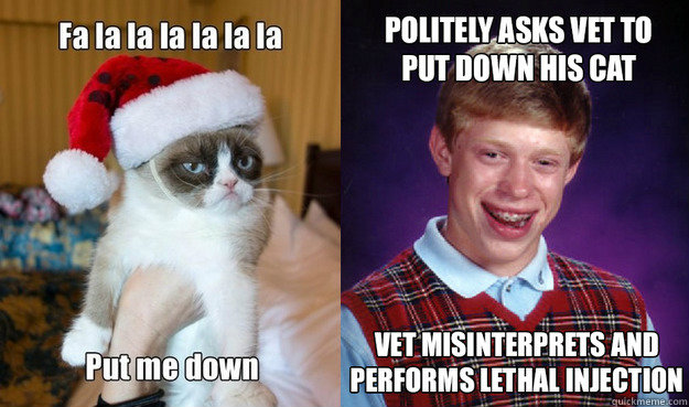 Untitled -   Bad Luck Brian is owner of Grumpy Cat