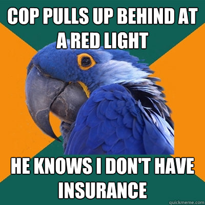 Cop pulls up behind at a red light He knows I don't have insurance  Paranoid Parrot