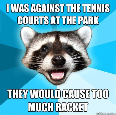 i was against the tennis courts at the park they would cause too much racket   Lame Pun Coon
