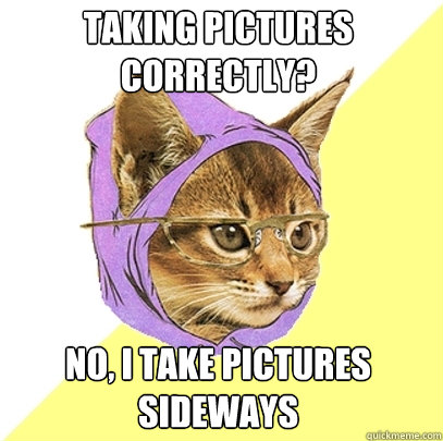 Taking pictures correctly? No, I take pictures sideways   Hipster Kitty