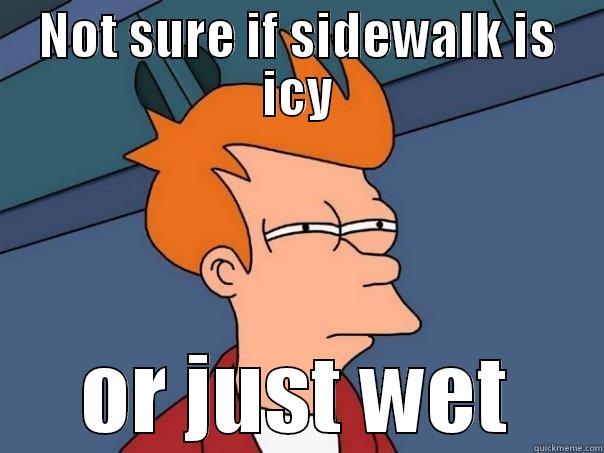 NOT SURE IF SIDEWALK IS ICY OR JUST WET Futurama Fry