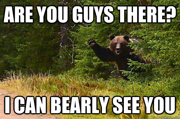 Are you Guys there? I can bearly see you  