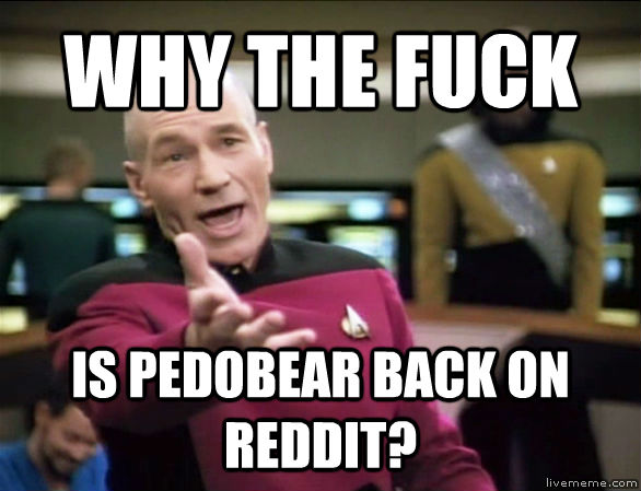 WHY THE FUCK IS PEDOBEAR BACK ON REDDIT?  Annoyed Picard HD