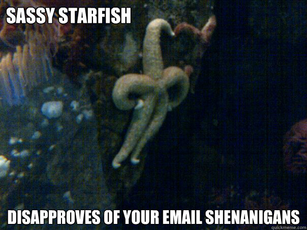 Sassy starfish disapproves of your email shenanigans     Sassy Starfish