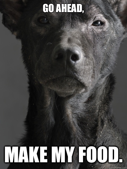 Go ahead, Make my food. - Go ahead, Make my food.  CLINT EASTWOOD DOG