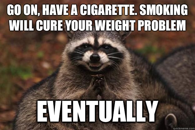 Go on, have a cigarette. Smoking will cure your weight problem Eventually  Evil Plotting Raccoon