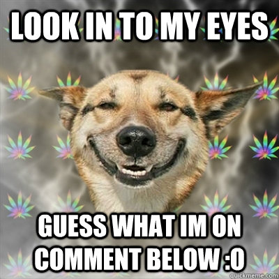 Look in to my eyes guess what im on comment below :o  Stoner Dog