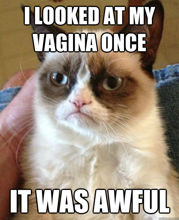 I looked at my vagina once It was awful - I looked at my vagina once It was awful  Angry Cat