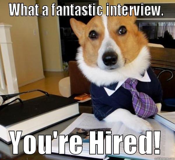 WHAT A FANTASTIC INTERVIEW. YOU'RE HIRED! Lawyer Dog