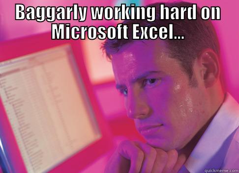 BAGGARLY WORKING HARD ON MICROSOFT EXCEL...  Misc