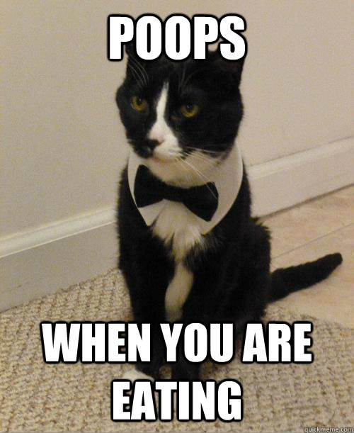 poops when you are eating  
