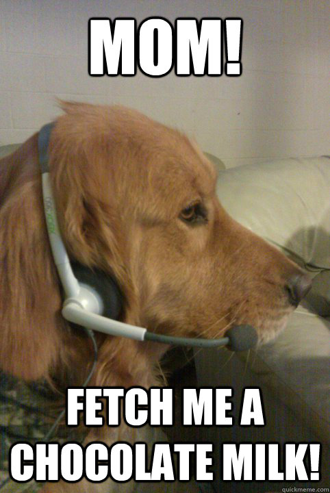 mom! fetch me a chocolate milk!  Xbox Live Dog
