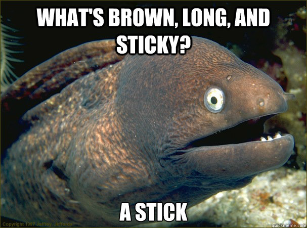 what's brown, long, and sticky? a stick  Bad Joke Eel