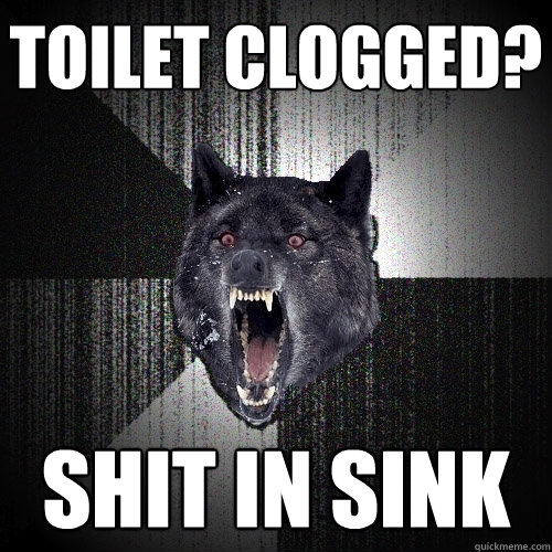toilet clogged?  shit in sink  Insanity Wolf
