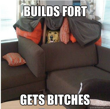 BUILDS FORT GETS BITCHES  