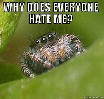 spidey sense - WHY DOES EVERYONE HATE ME?  Misunderstood Spider