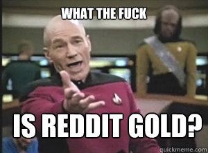 What the fuck is reddit gold?  Annoyed Picard