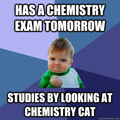 Has a chemistry exam tomorrow Studies by looking at chemistry cat  Success Kid