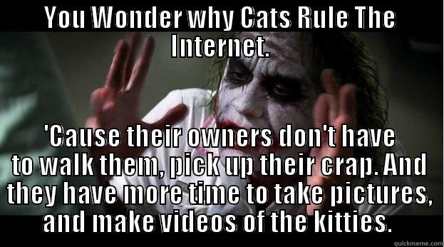 YOU WONDER WHY CATS RULE THE INTERNET. 'CAUSE THEIR OWNERS DON'T HAVE TO WALK THEM, PICK UP THEIR CRAP. AND THEY HAVE MORE TIME TO TAKE PICTURES, AND MAKE VIDEOS OF THE KITTIES.  Joker Mind Loss
