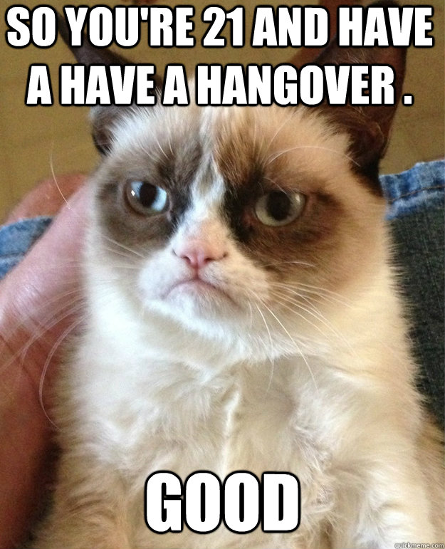 so you're 21 and have a have a hangover . Good - so you're 21 and have a have a hangover . Good  grumpy cat birthday