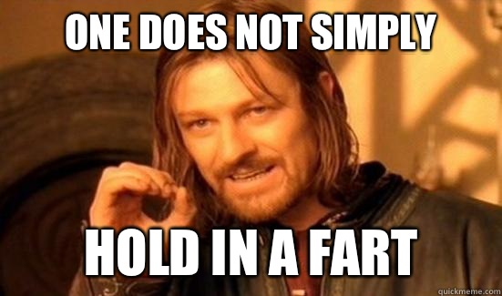 One Does Not Simply Hold in a fart  Boromir