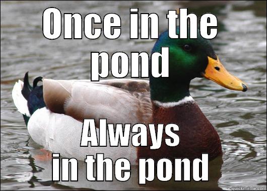 ONCE IN THE POND ALWAYS IN THE POND Actual Advice Mallard
