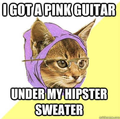 I got a pink guitar under my hipster sweater  Hipster Kitty