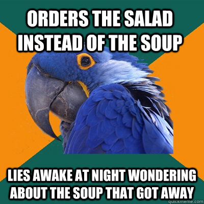 Orders the salad instead of the soup Lies awake at night wondering about the soup that got away  Paranoid Parrot