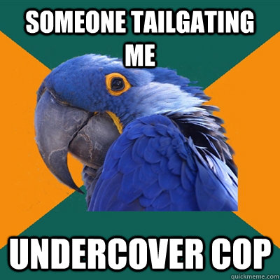 Someone tailgating me undercover cop  Paranoid Parrot