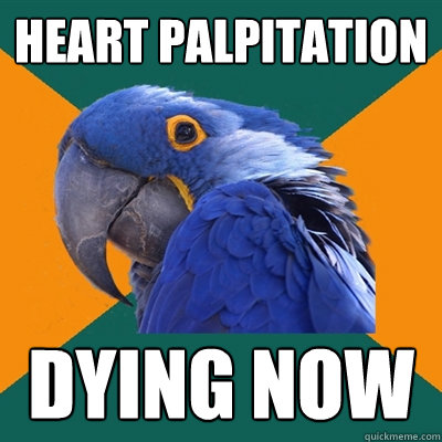 heart palpitation dying now  Paranoid Parrot