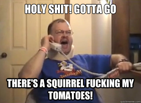 HOLY SHIT! GOTTA GO THERE'S A SQUIRREL FUCKING MY TOMATOES!  Tourettes Guy