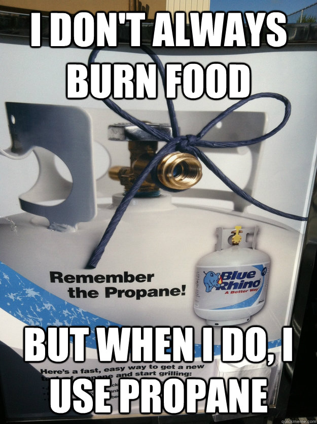 I DON'T ALWAYS BURN FOOD BUT WHEN I DO, I USE PROPANE PROPANE MEME