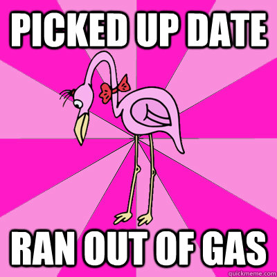 picked up date ran out of gas  First Date Flamingo