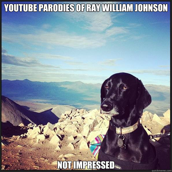 youtube parodies of Ray William Johnson  not impressed  